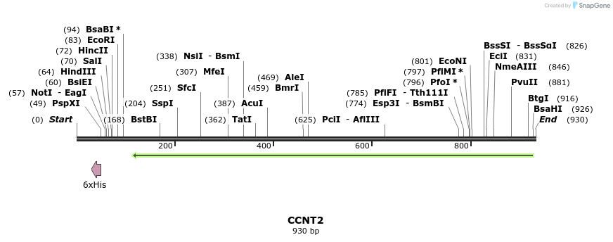 51737_map