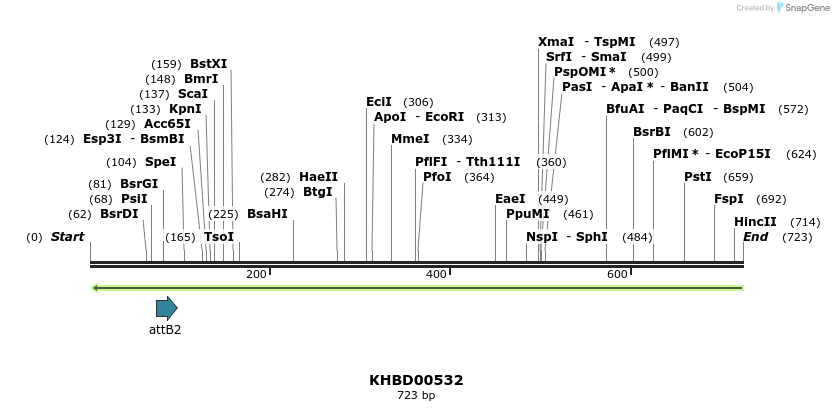 51740_map