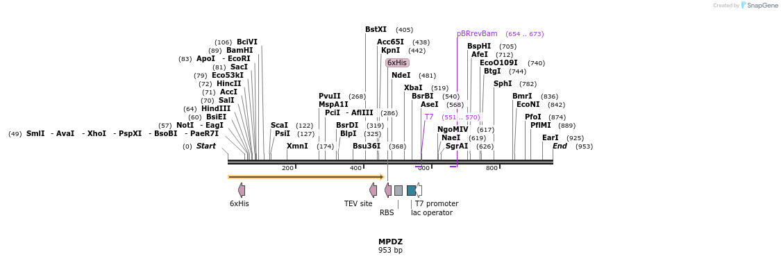 51742_map