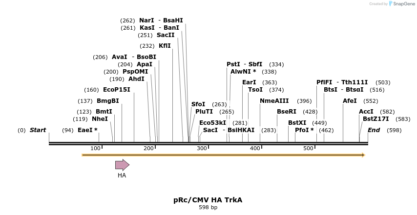 51743_map