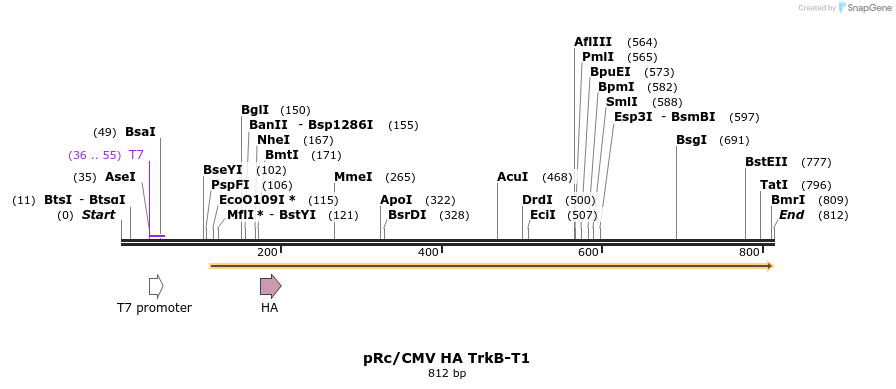 51745_map