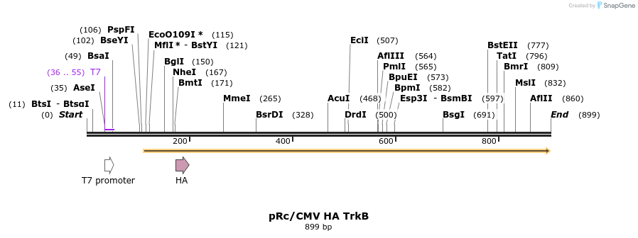 51747_map
