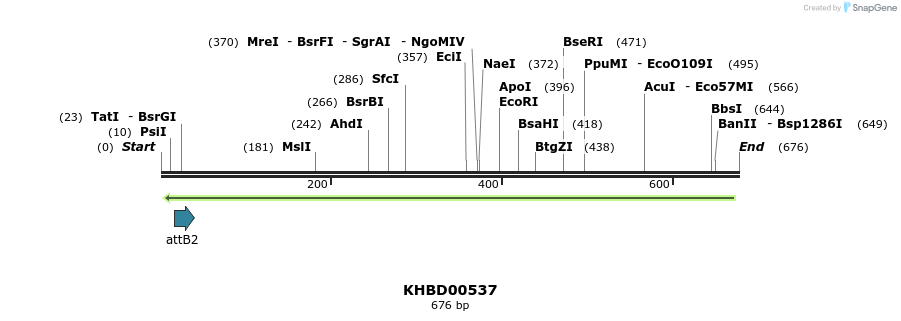 51749_map