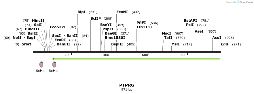 51750_map