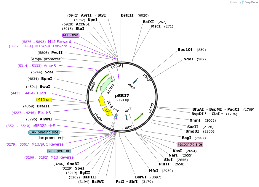 517507_map