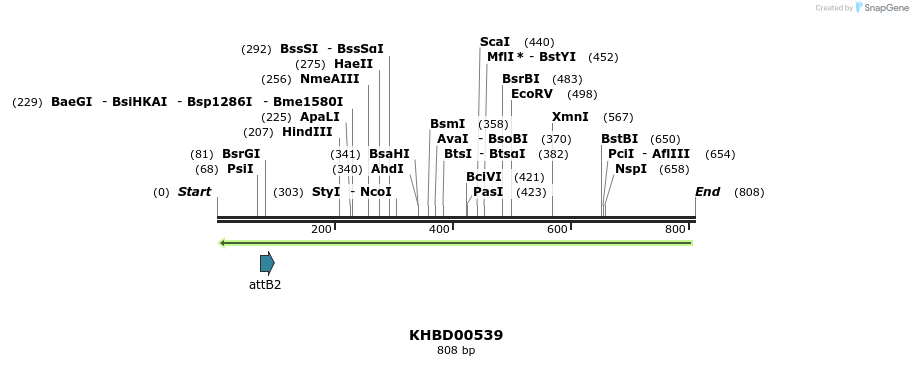 51752_map
