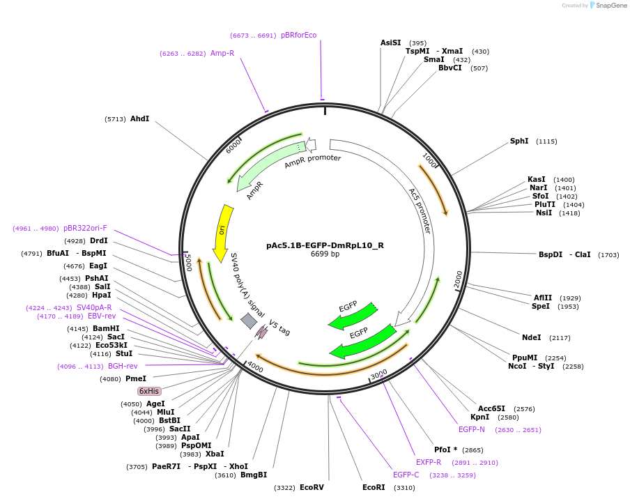 517521_map