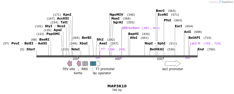 51753_map