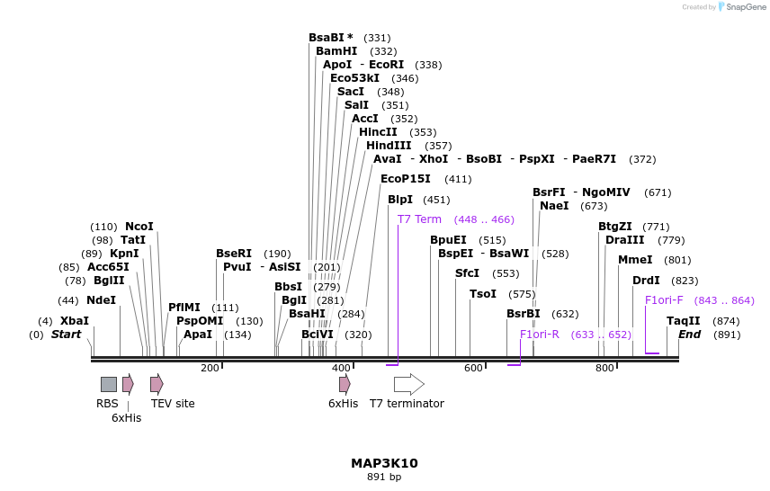51754_map
