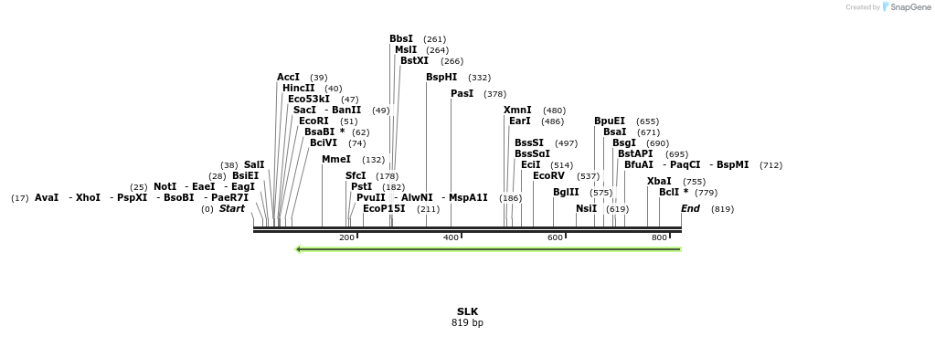 51756_map