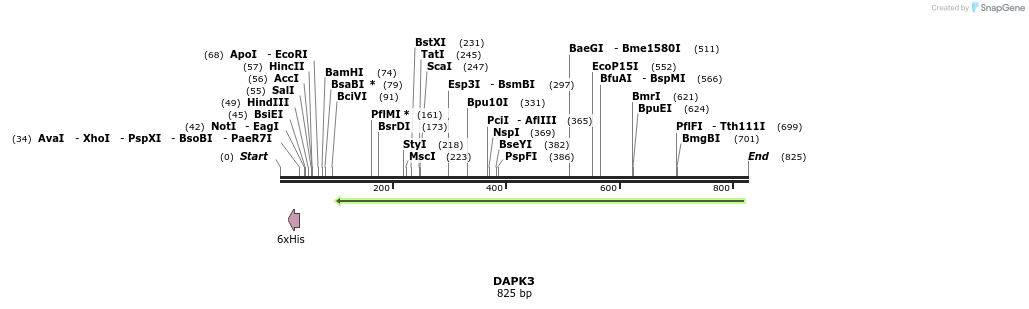 51758_map