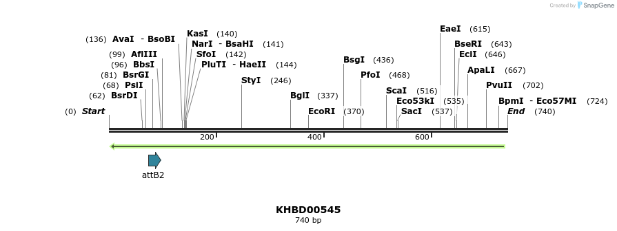 51761_map