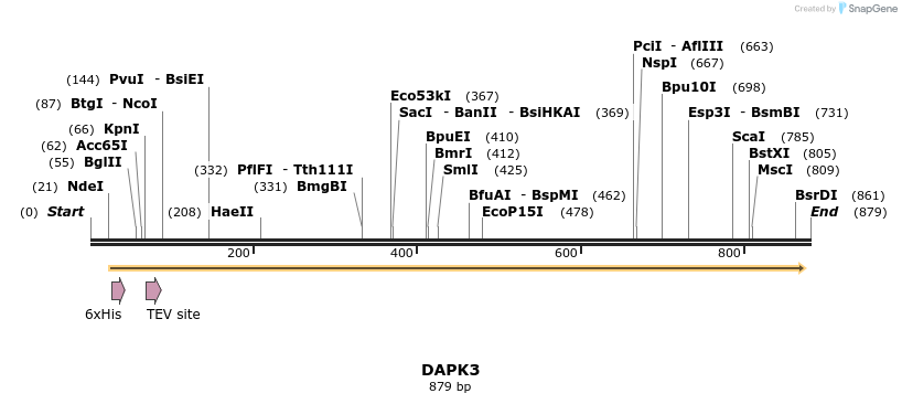 51762_map