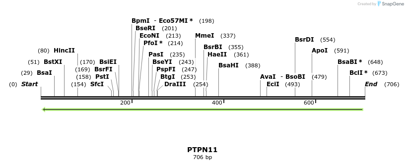 51763_map
