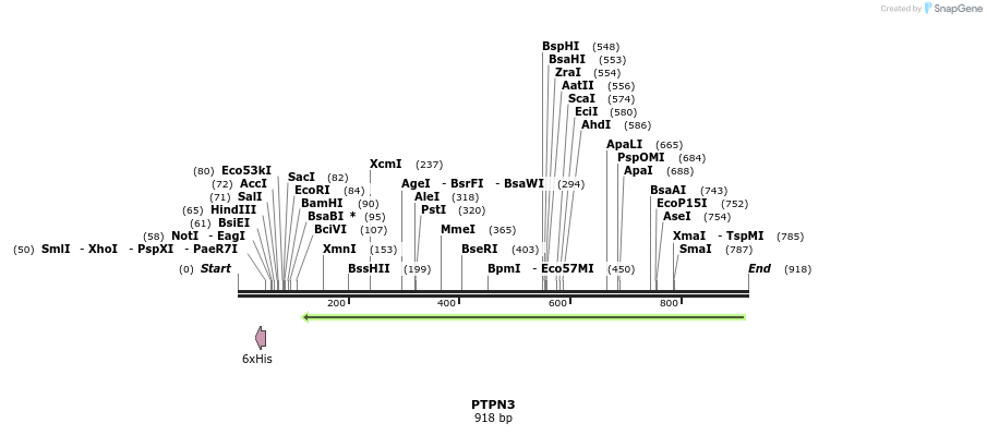 51764_map