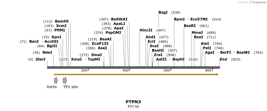 51765_map