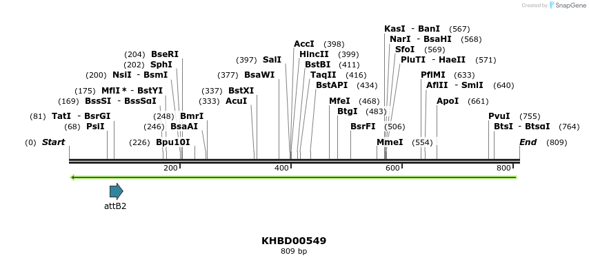 51766_map