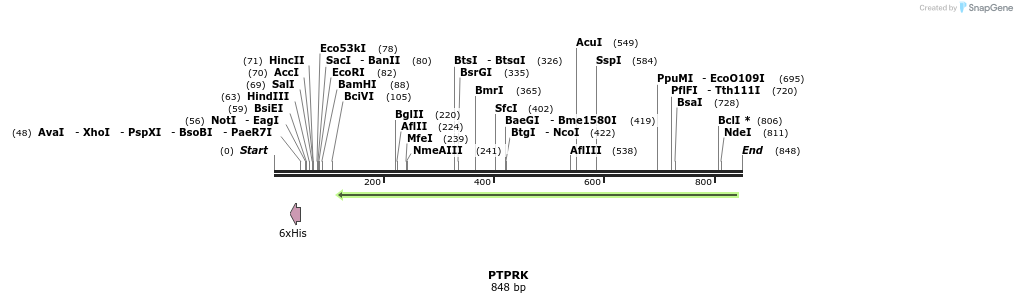 51769_map