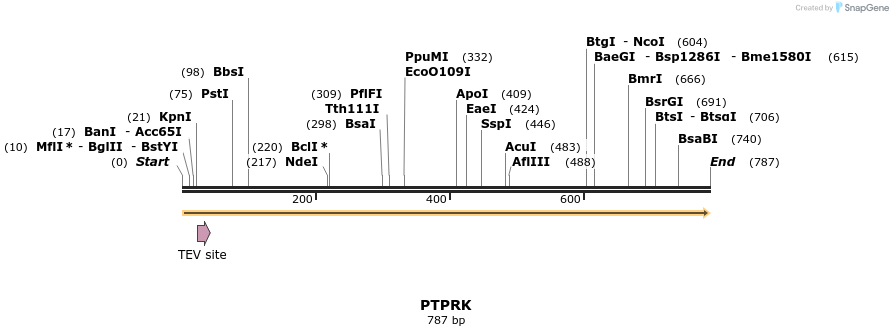 51770_map