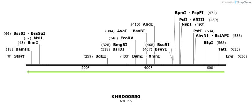 51771_map
