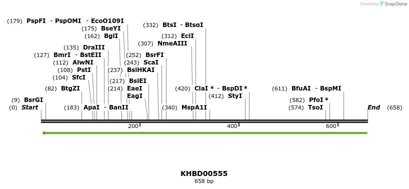 51774_map