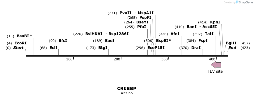 51777_map