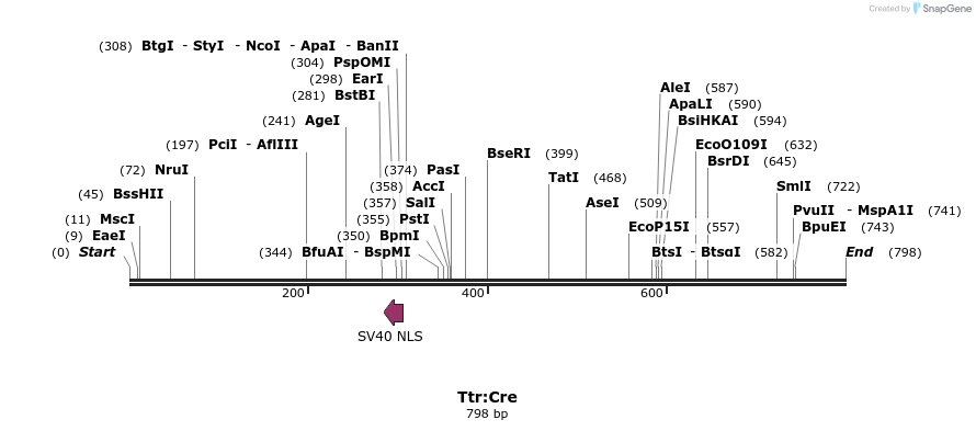 51782_map
