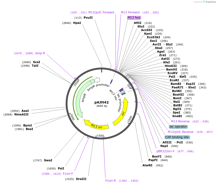 517901_map