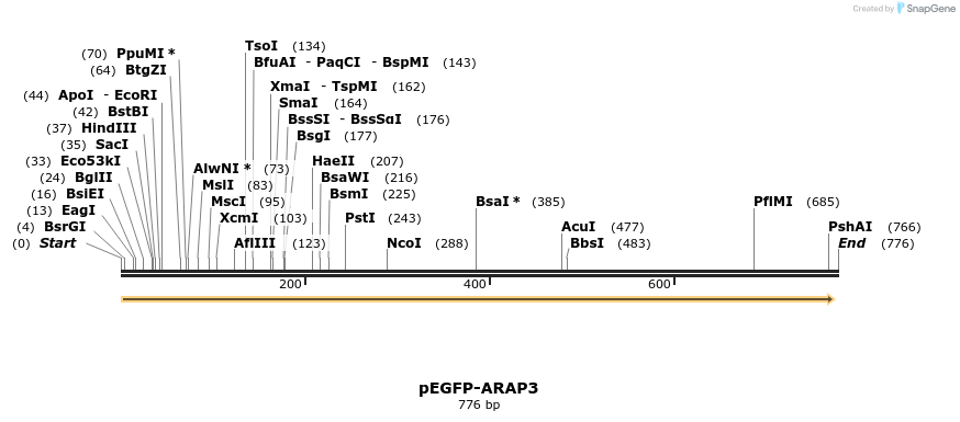 51792_map