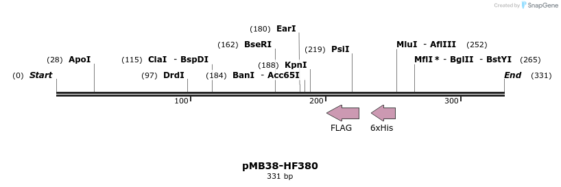 51793_map