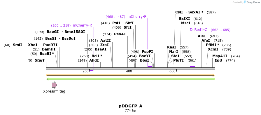 51796_map