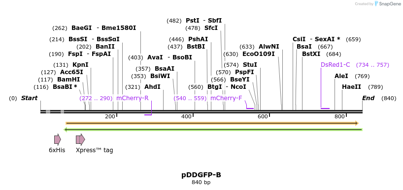 51797_map
