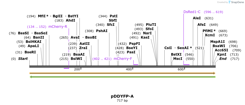 51798_map