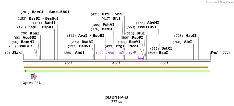 51799_map