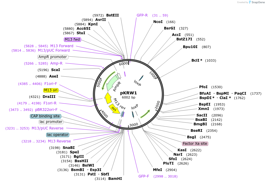 517997_map