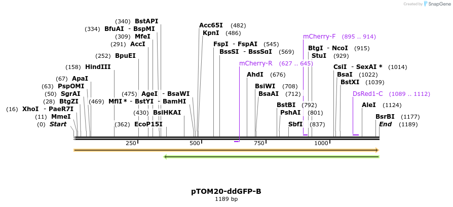 51802_map