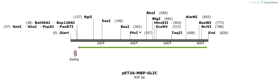 51811_map