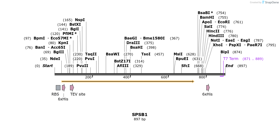 51815_map