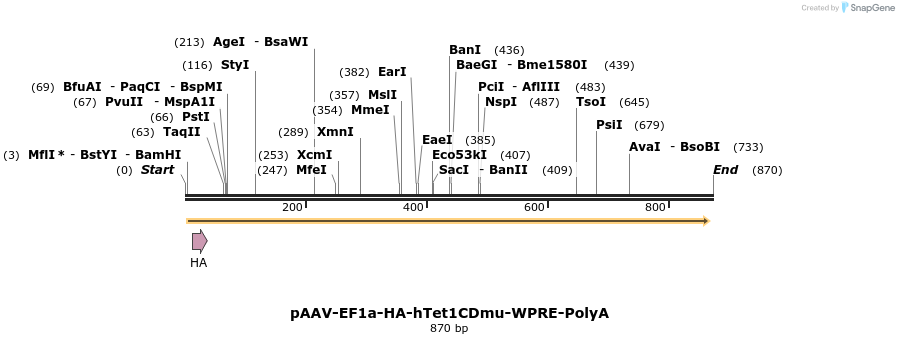 51820_map