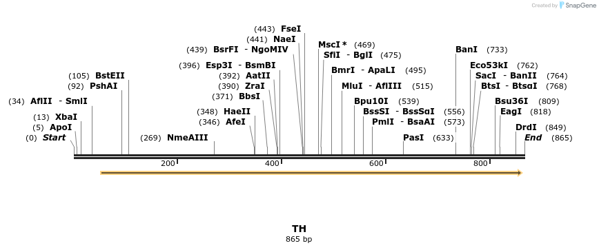 51821_map