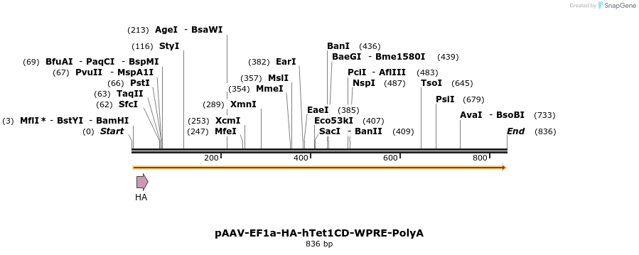 51822_map