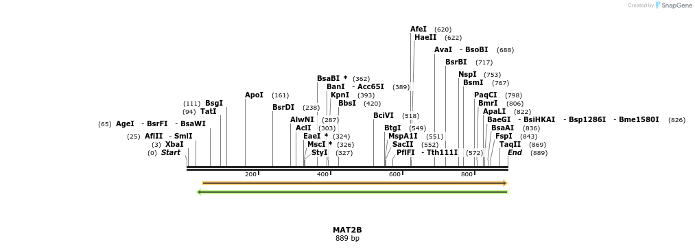 51823_map