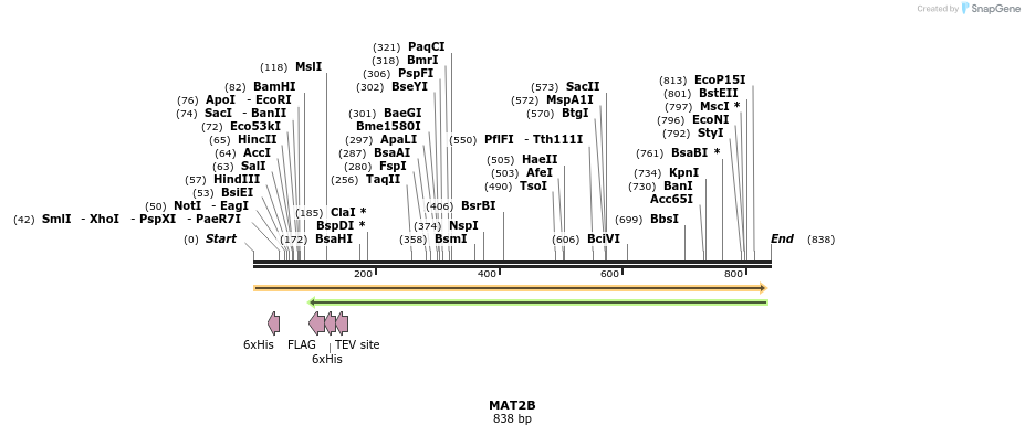 51824_map
