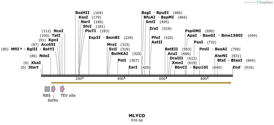 51827_map