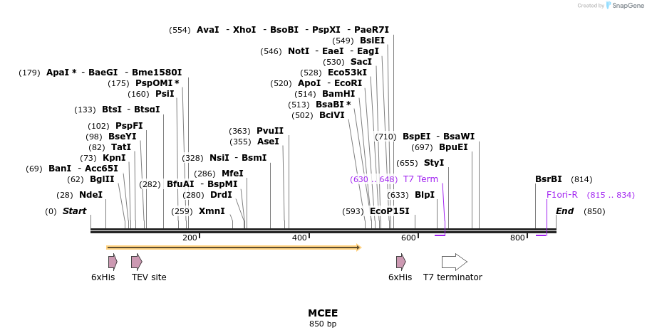 51829_map