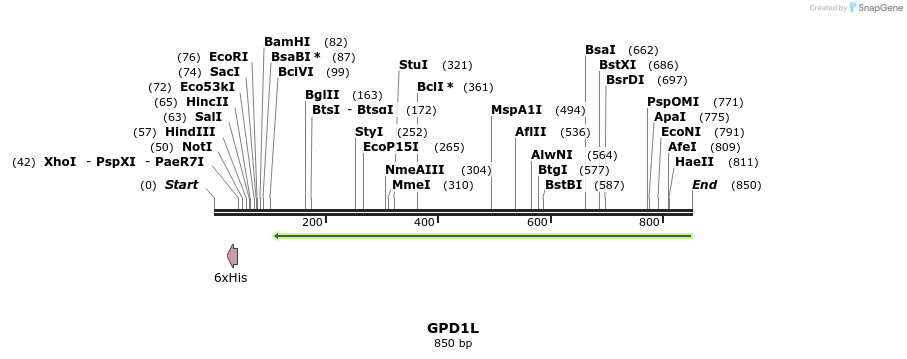 51833_map