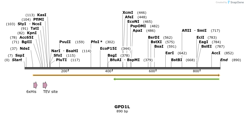 51834_map