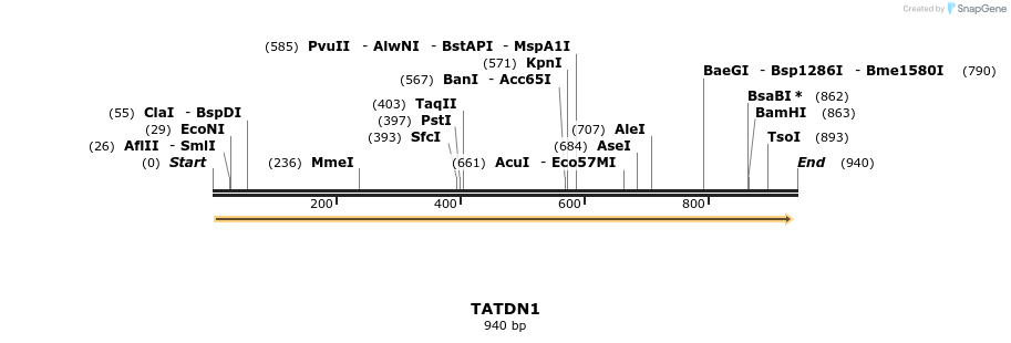 51836_map
