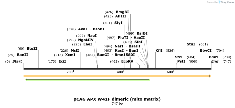 51839_map
