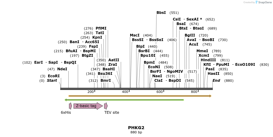 51848_map